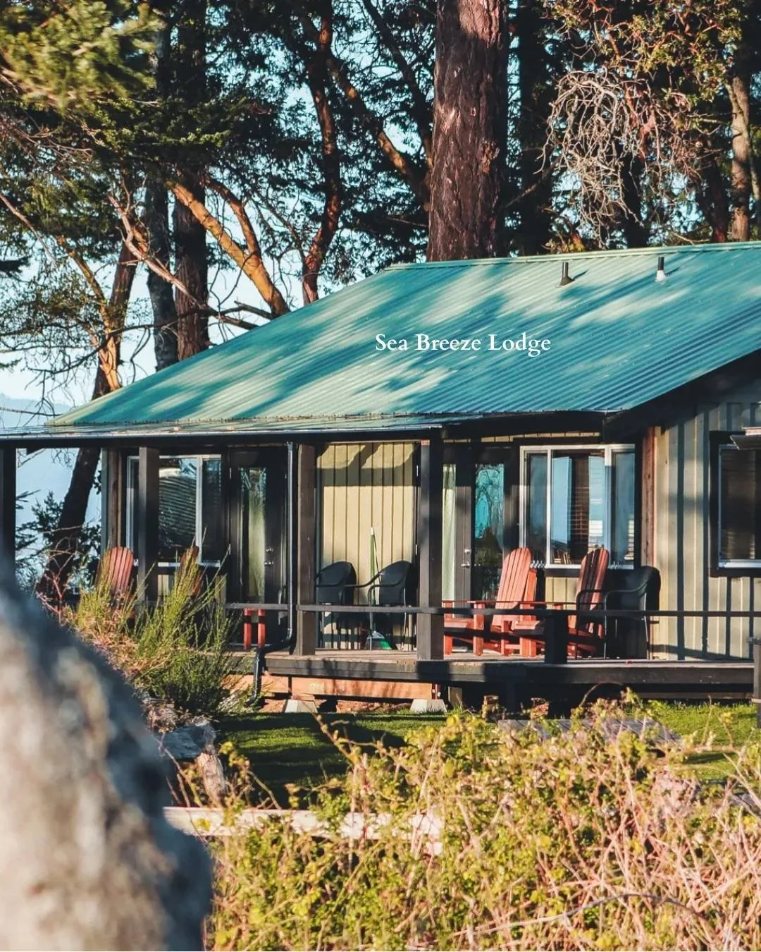 Sea Breeze Lodge.jpg