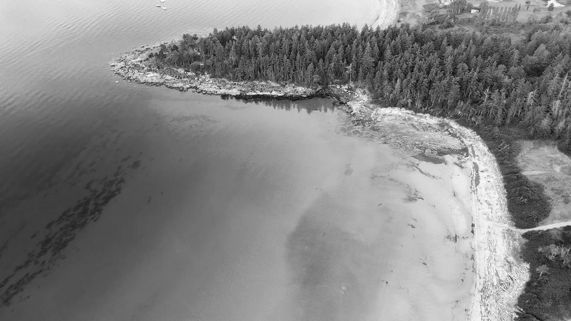 The Complete Guide to Hornby Island, BC: Beaches, Hikes, Food, and Where to Stay