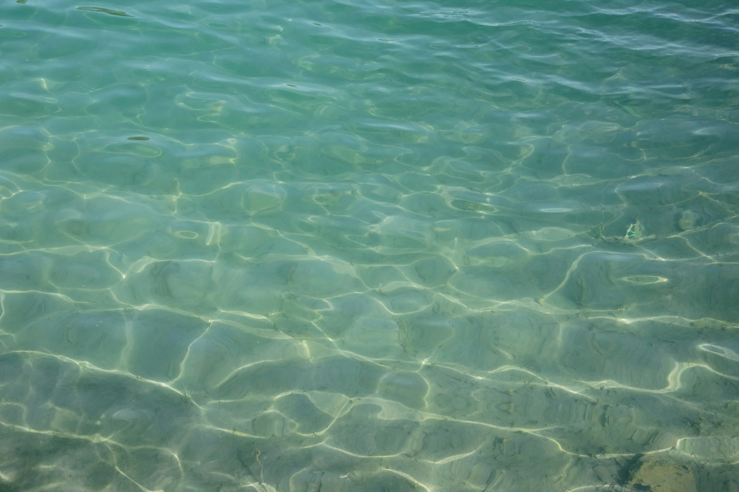 The Caribbean &amp;  Hawaii of Canada: Why Hornby Island's Turquoise Water Looks Tropical