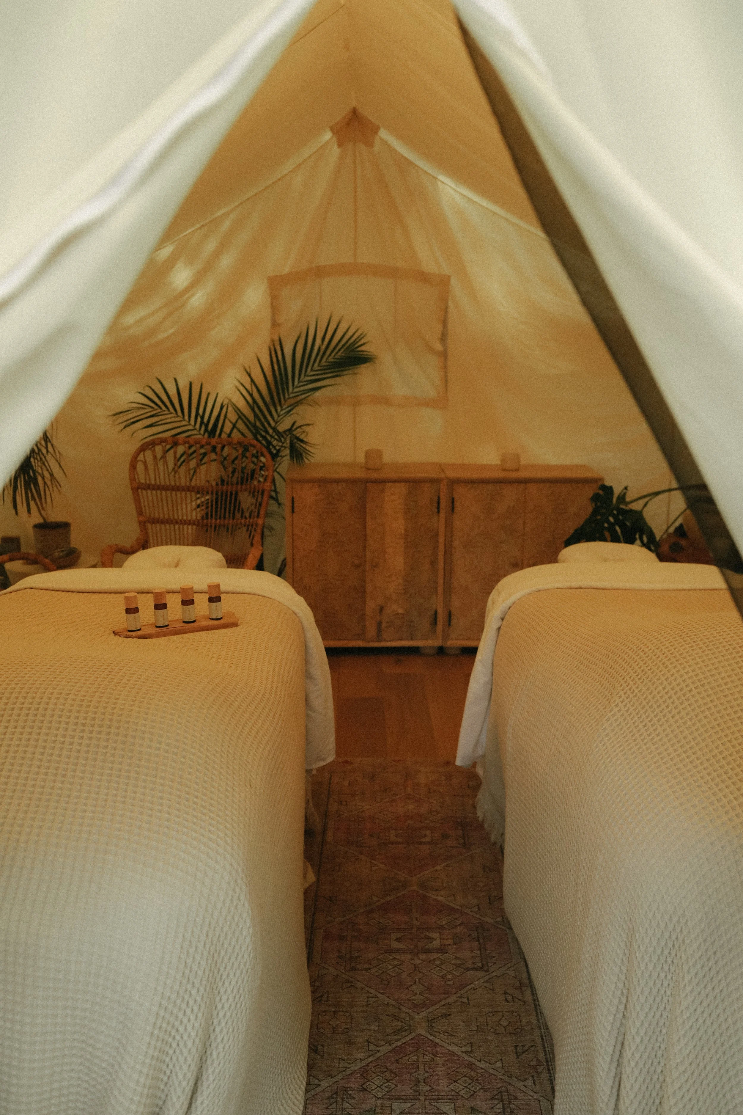 4 oils in tent .jpg