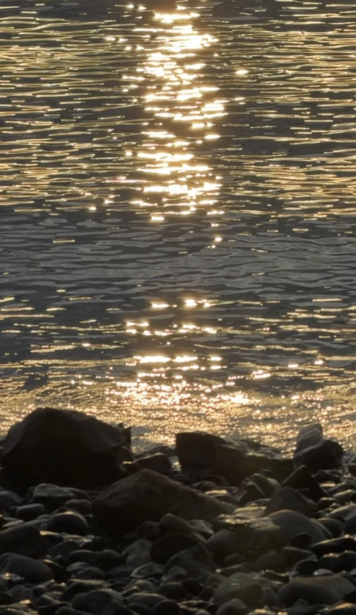 5A343582-D923-4D07-AEEE-5E05FF48D74B.jpeg