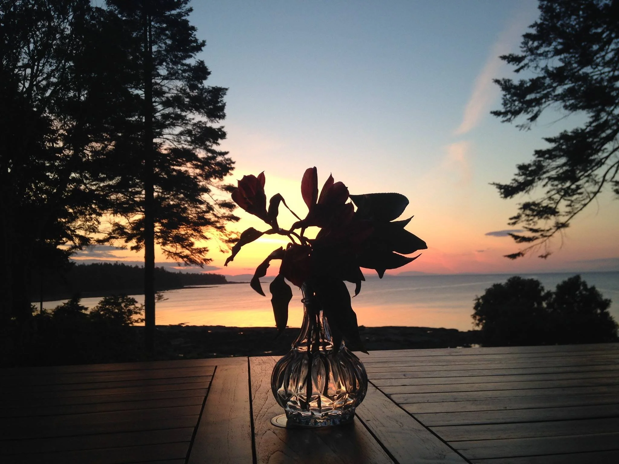 sunset from patio.jpg