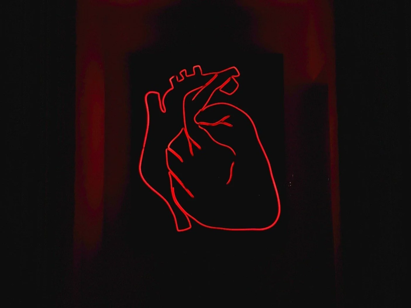 THE PROBLEM OF THE HEART