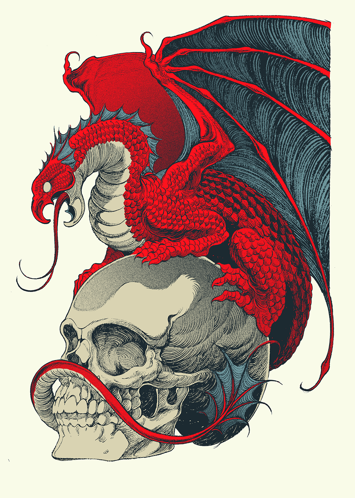 dragon_craneo copia.png