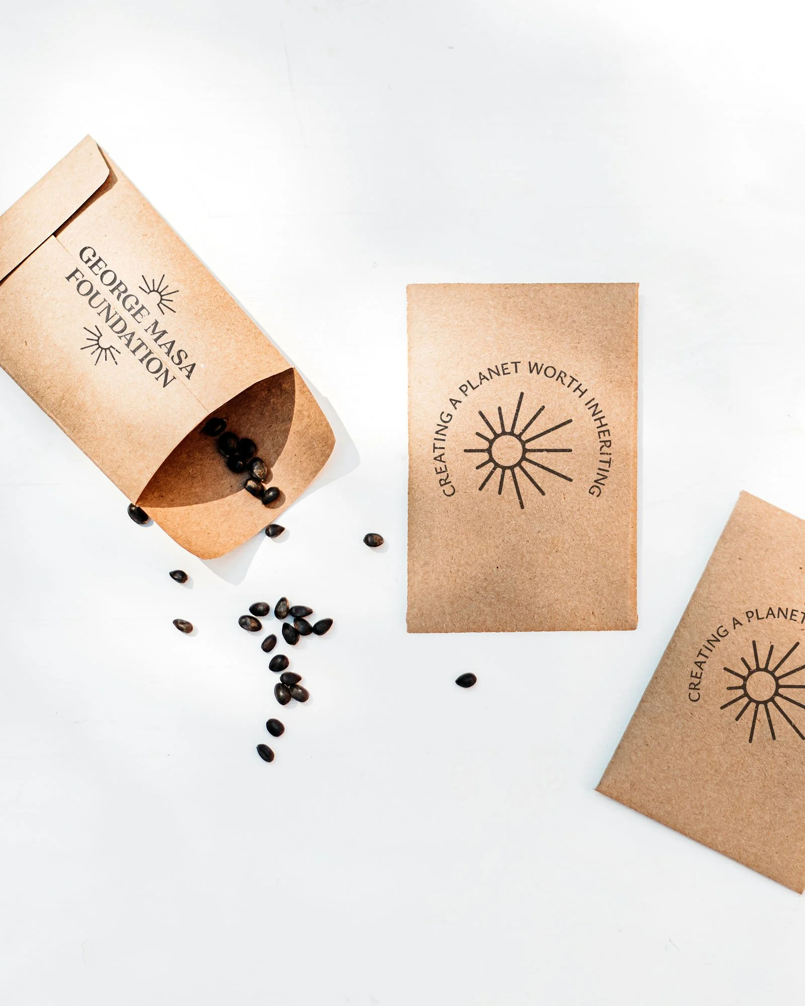 Branding and logo design for George Masa Foundation, a nonprofit supporting youth interest in conservation, shown on seed packets