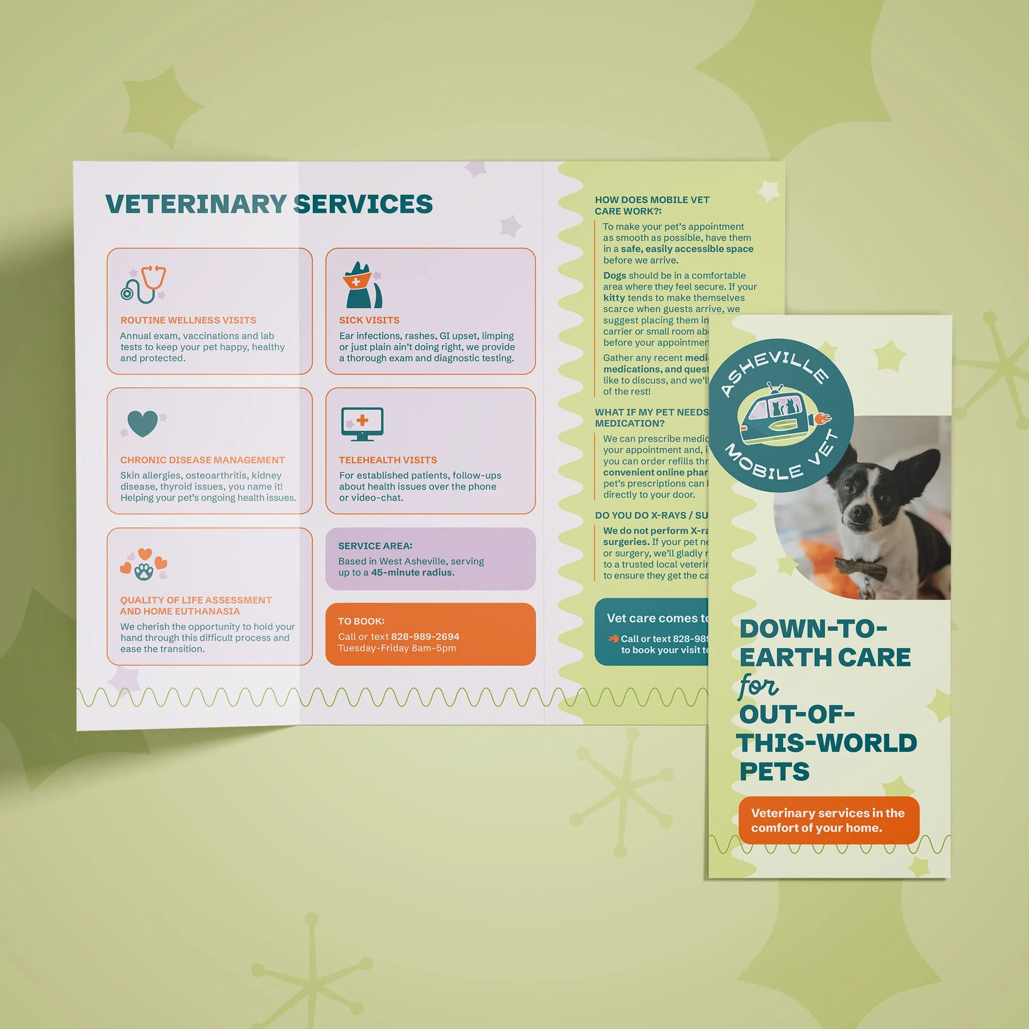 Playful, bright, fun brochure design for Asheville Mobile Vet clinic, open to show veterinary service and answering questions about how a mobile vet works