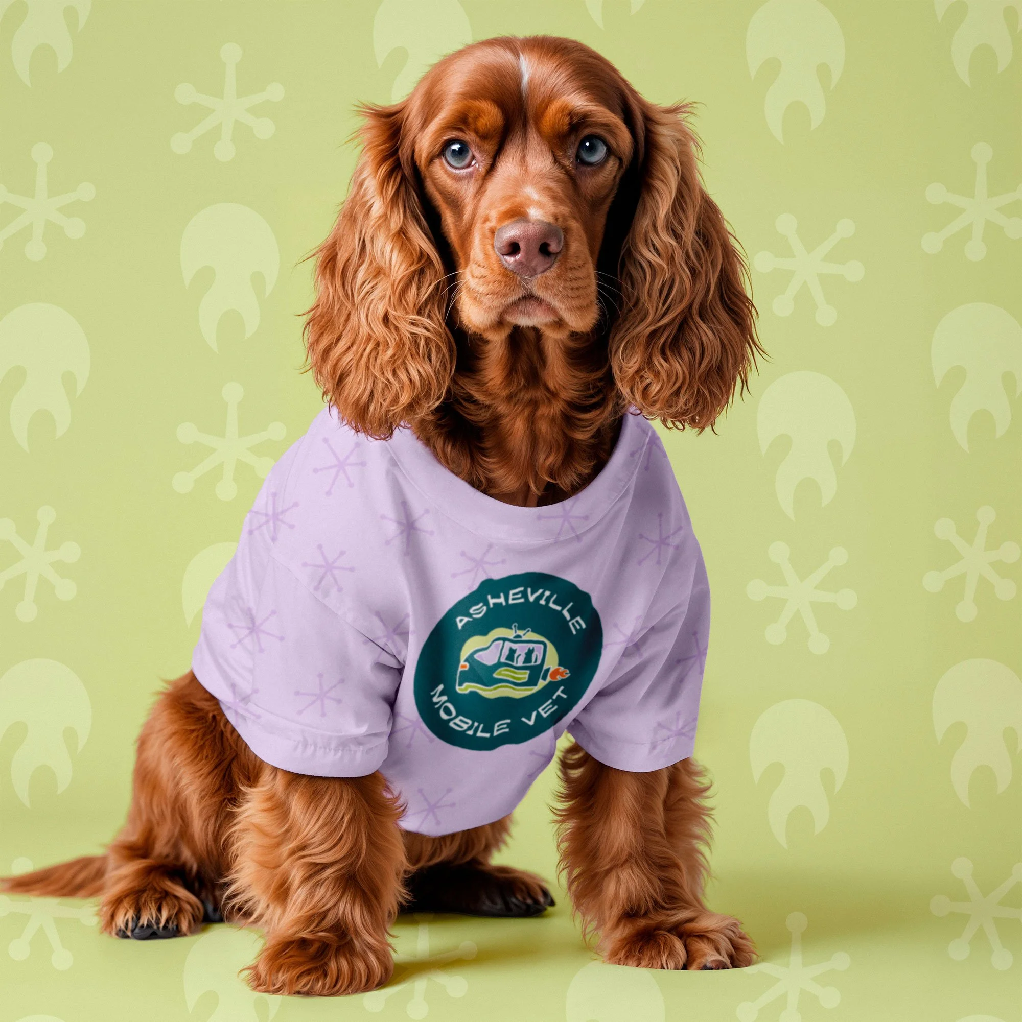 Brown dog with shaggy fur wearing a purple t-shirt with the Asheville Mobile Vet logo on it