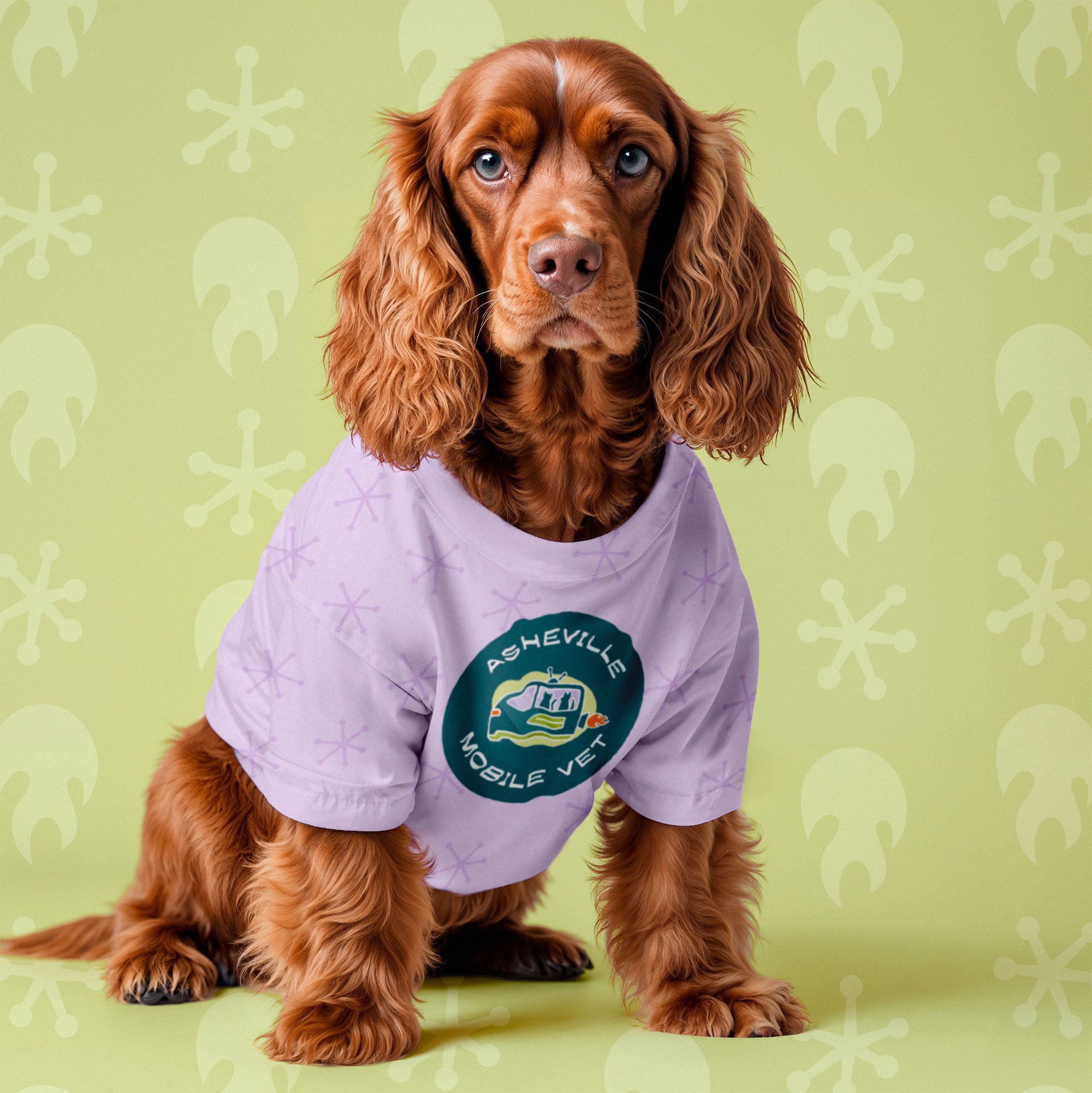 ASHEVILLE MOBILE VET • In-Home Veterinarian