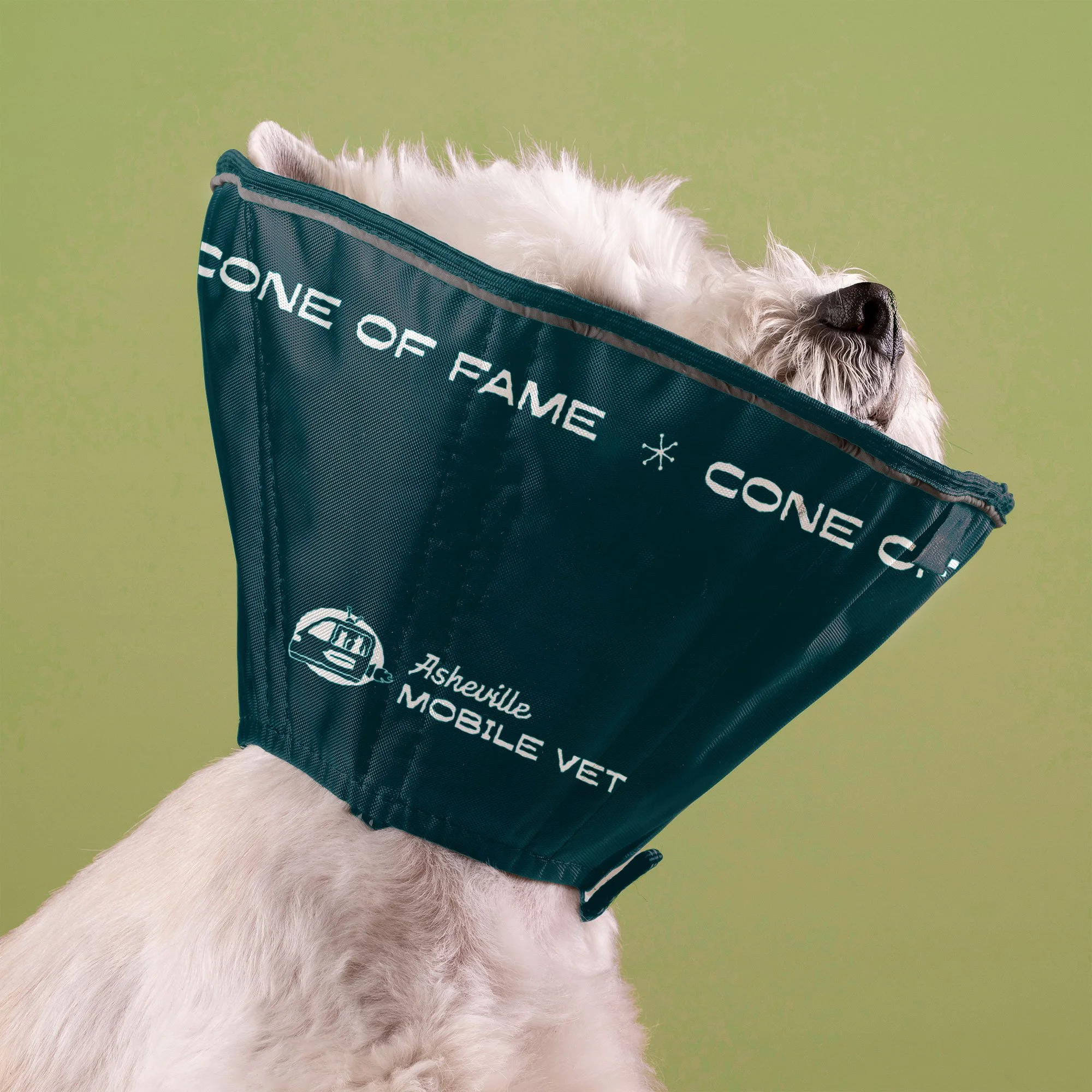 Fluffy white dog wearing a navy blue veterinary cone around its neck that says "cone of fame" in a futuristic font
