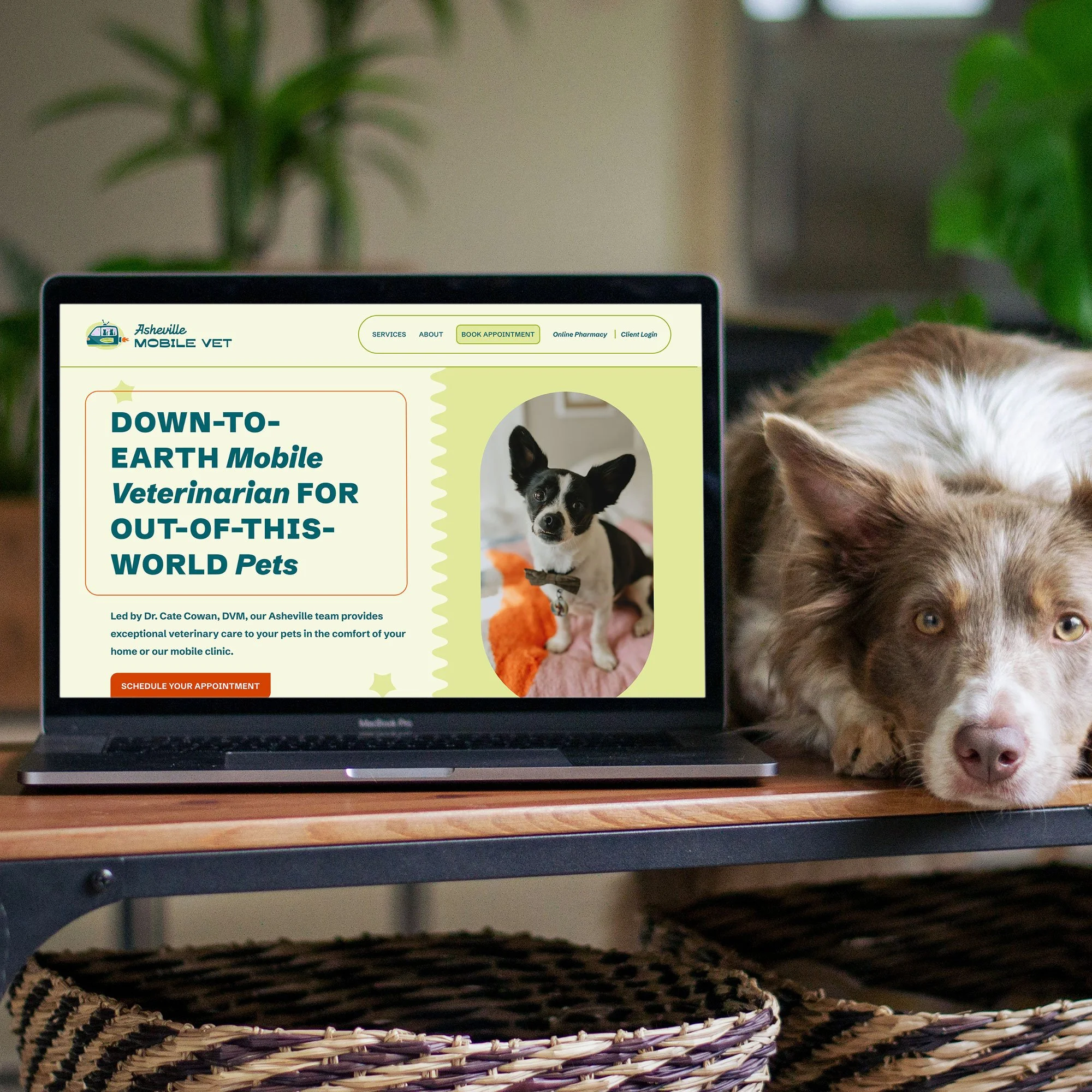 Fun, playful, modern, retro-inspired website design for a mobile veterinarian on a laptop with a dog laying next to it.