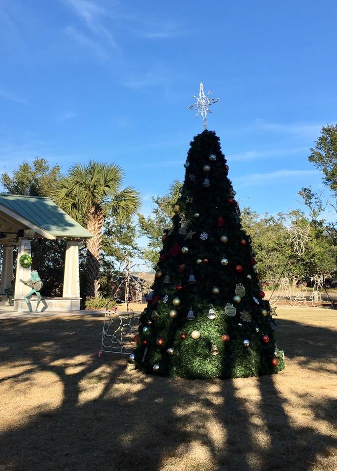 Tree Lighting