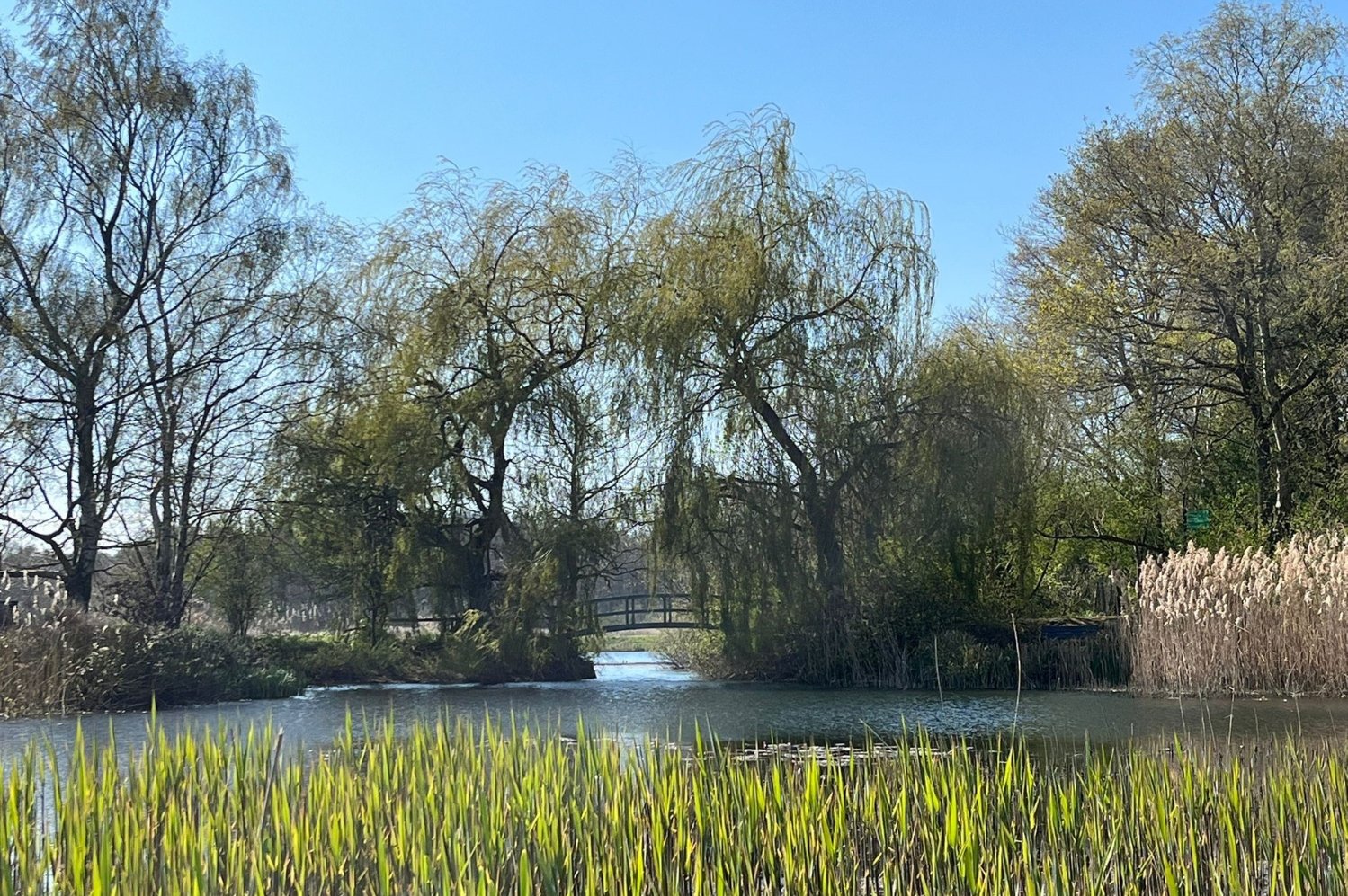 View Towards the Monet Style Bridge
