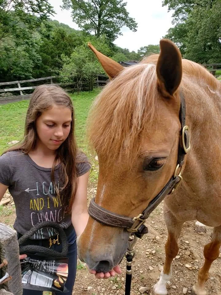 WhatsApp Image 2024-09-03 at 12.09.29_3e5e77a2.jpg