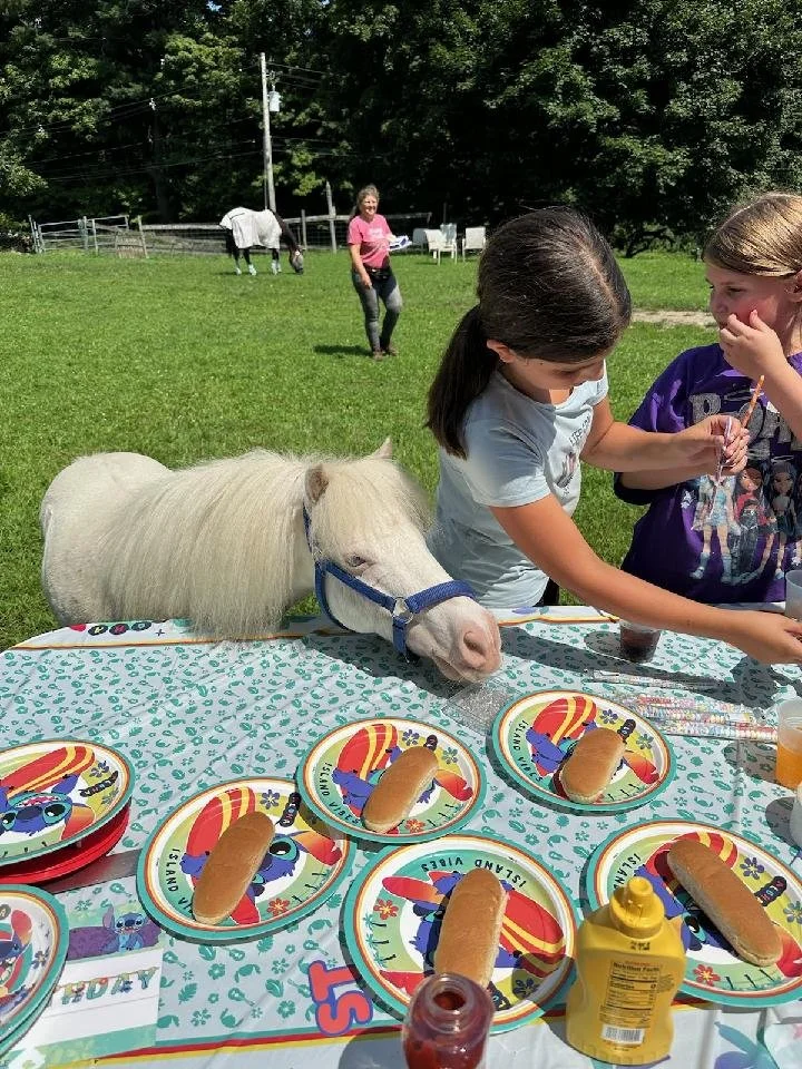 WhatsApp Image 2024-09-03 at 12.10.06_f26ca6cb.jpg