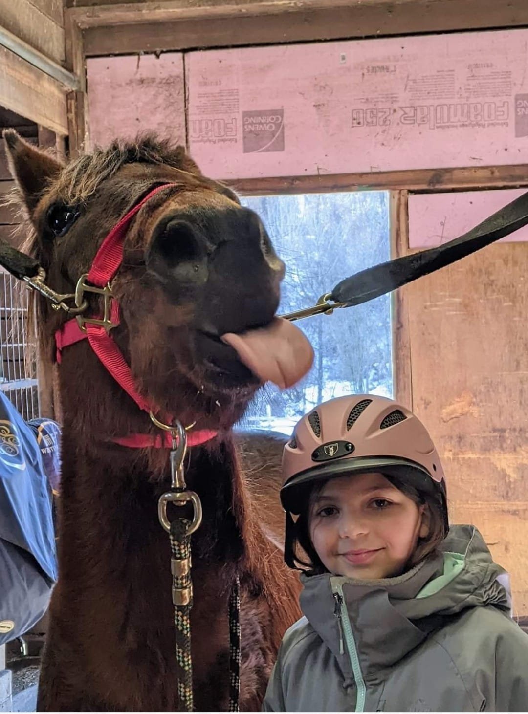 WhatsApp Image 2024-09-13 at 21.52.33_a51b8f96.jpg