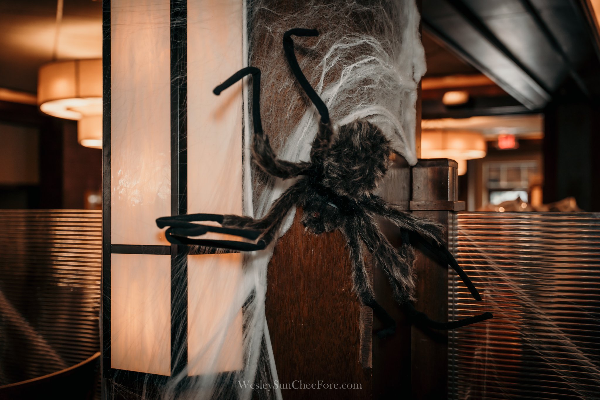 Halloween Lunch