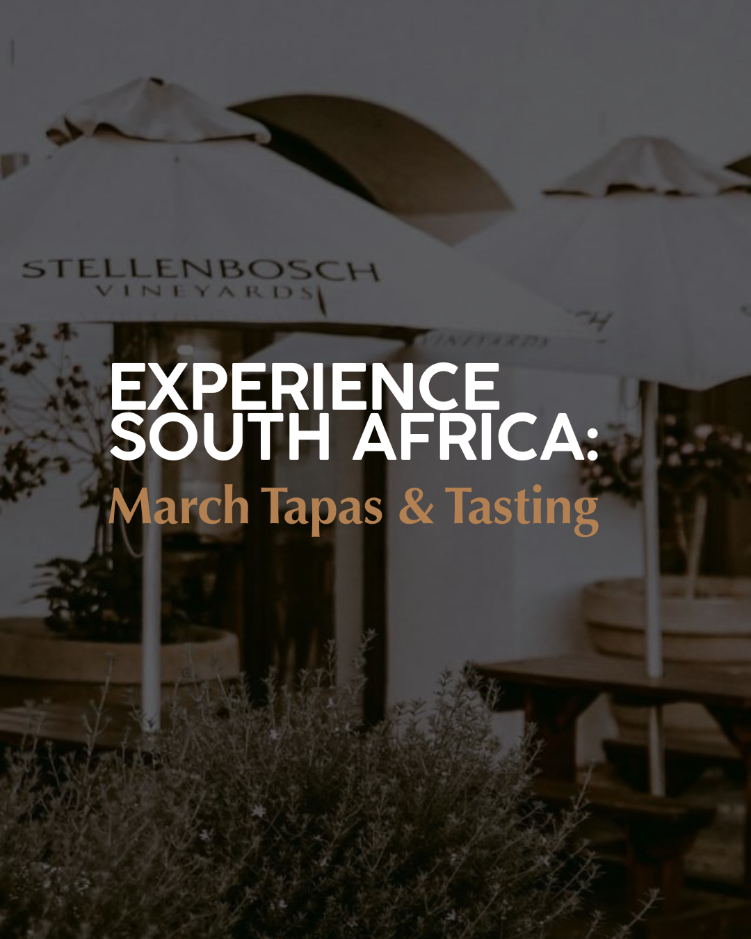 March 11 Tapas & Tasting