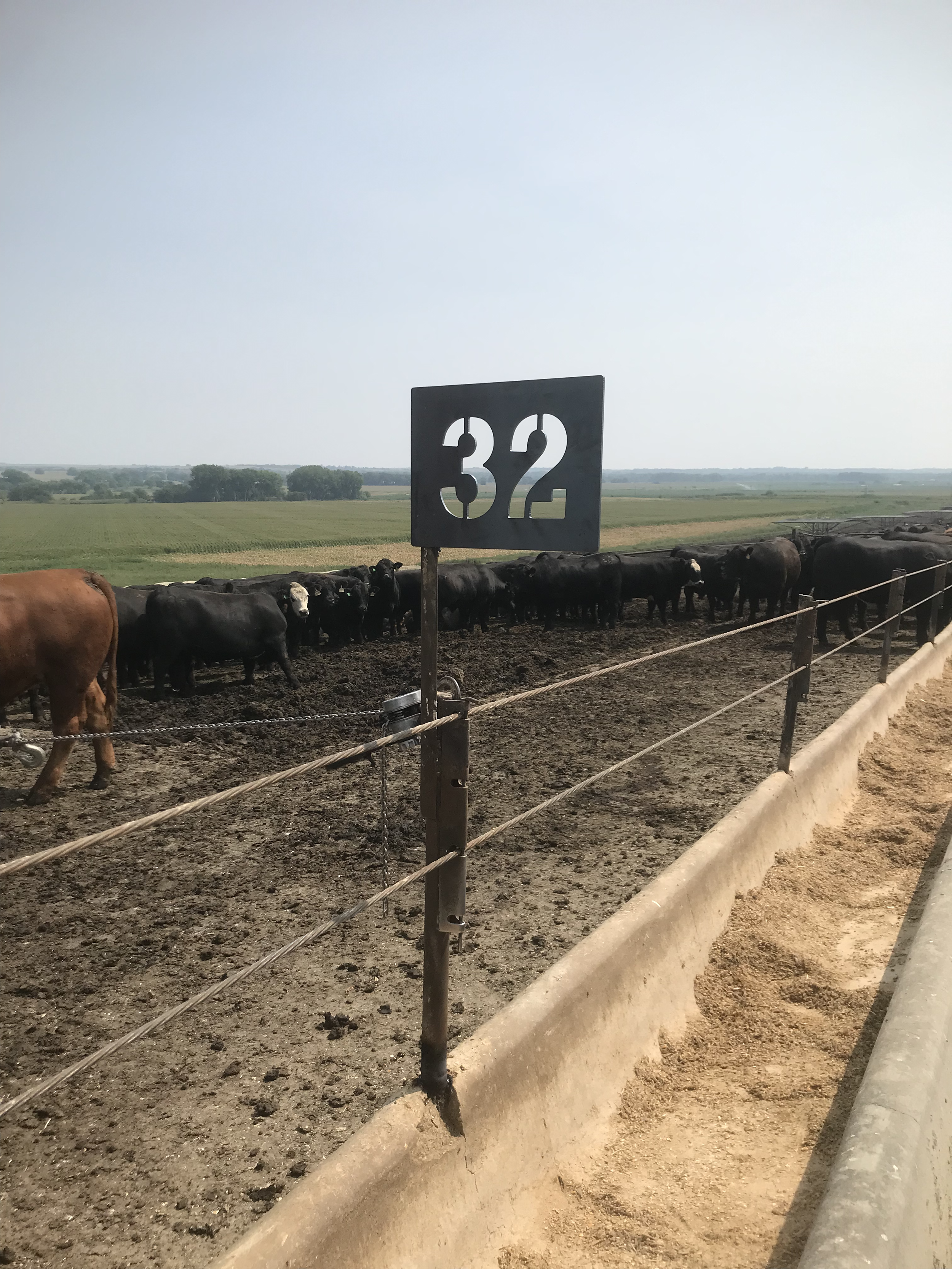 FeedYard.png