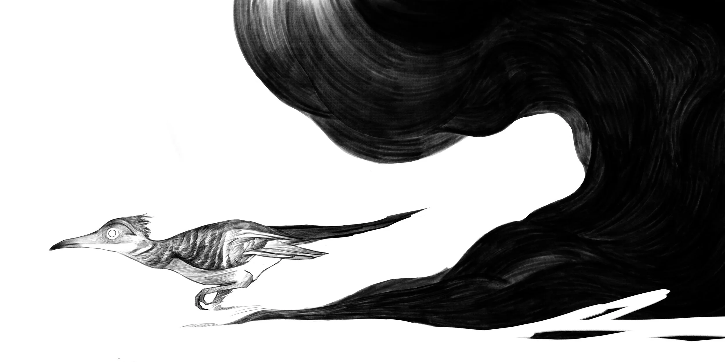 Illustration of a stylized bird running with a wavy black shape behind it.