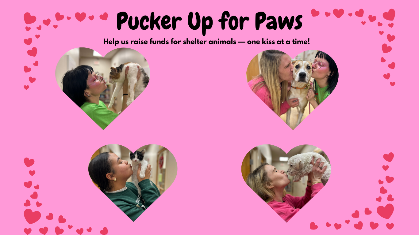 Pucker Up for Paws