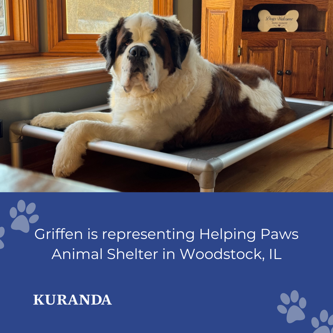 Dog of the month contest