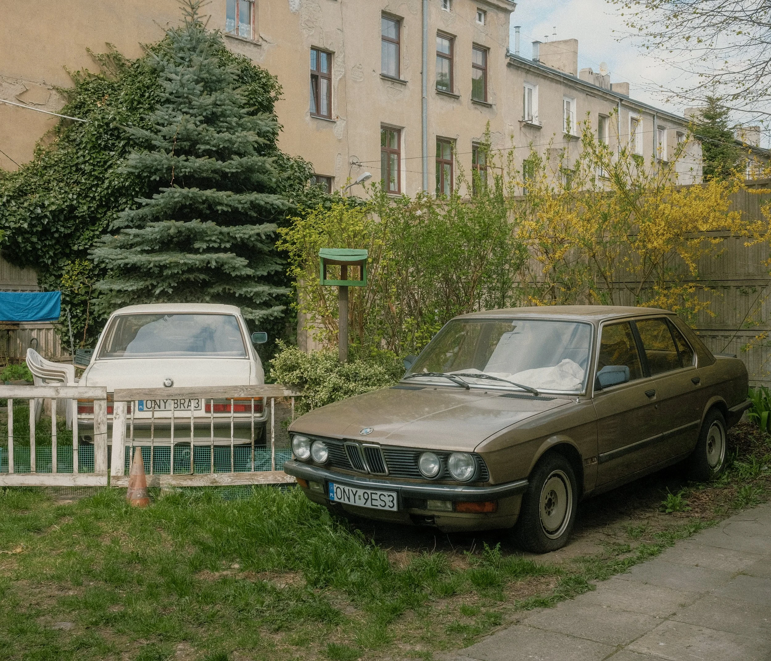 _DSF1800.jpg