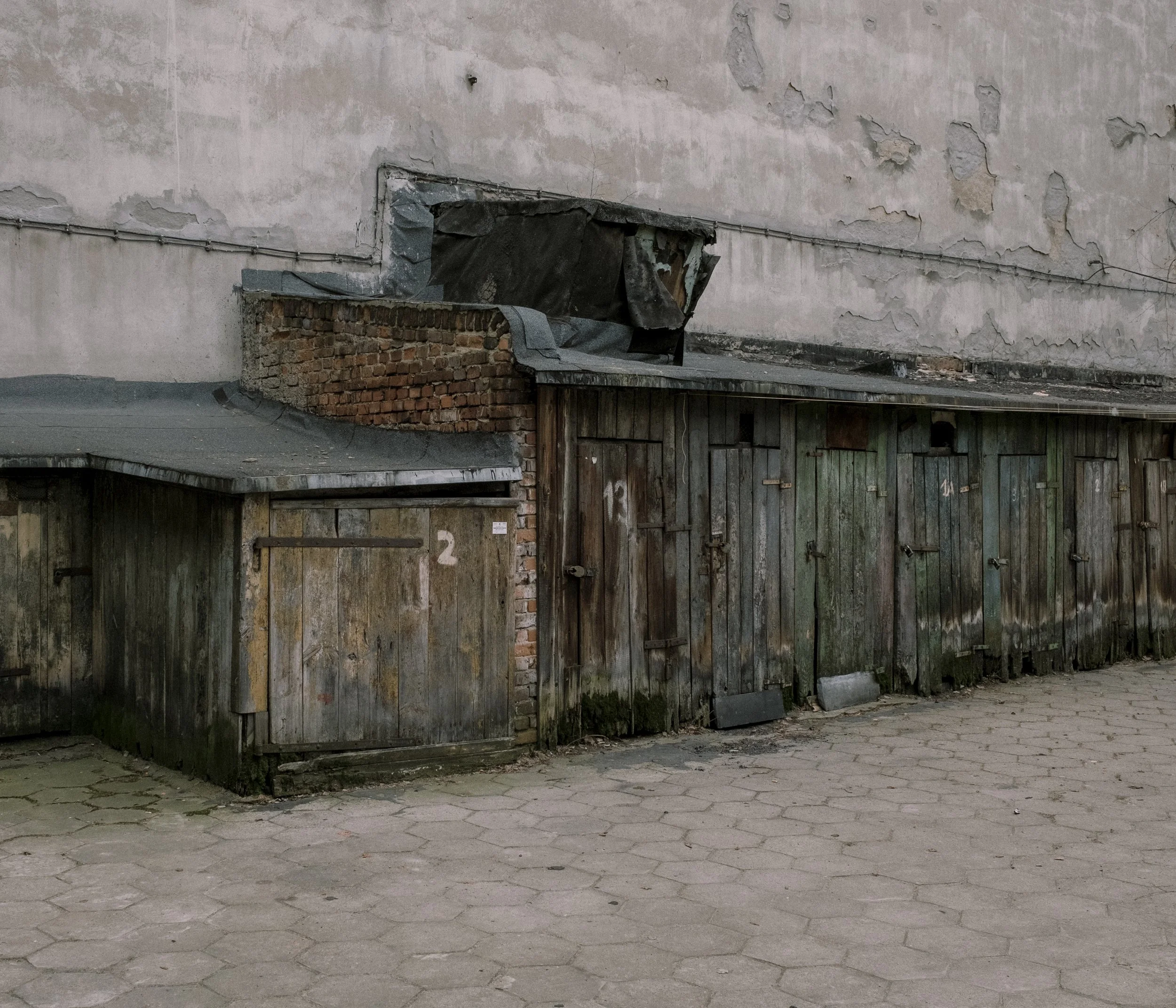 _DSF0637.jpg
