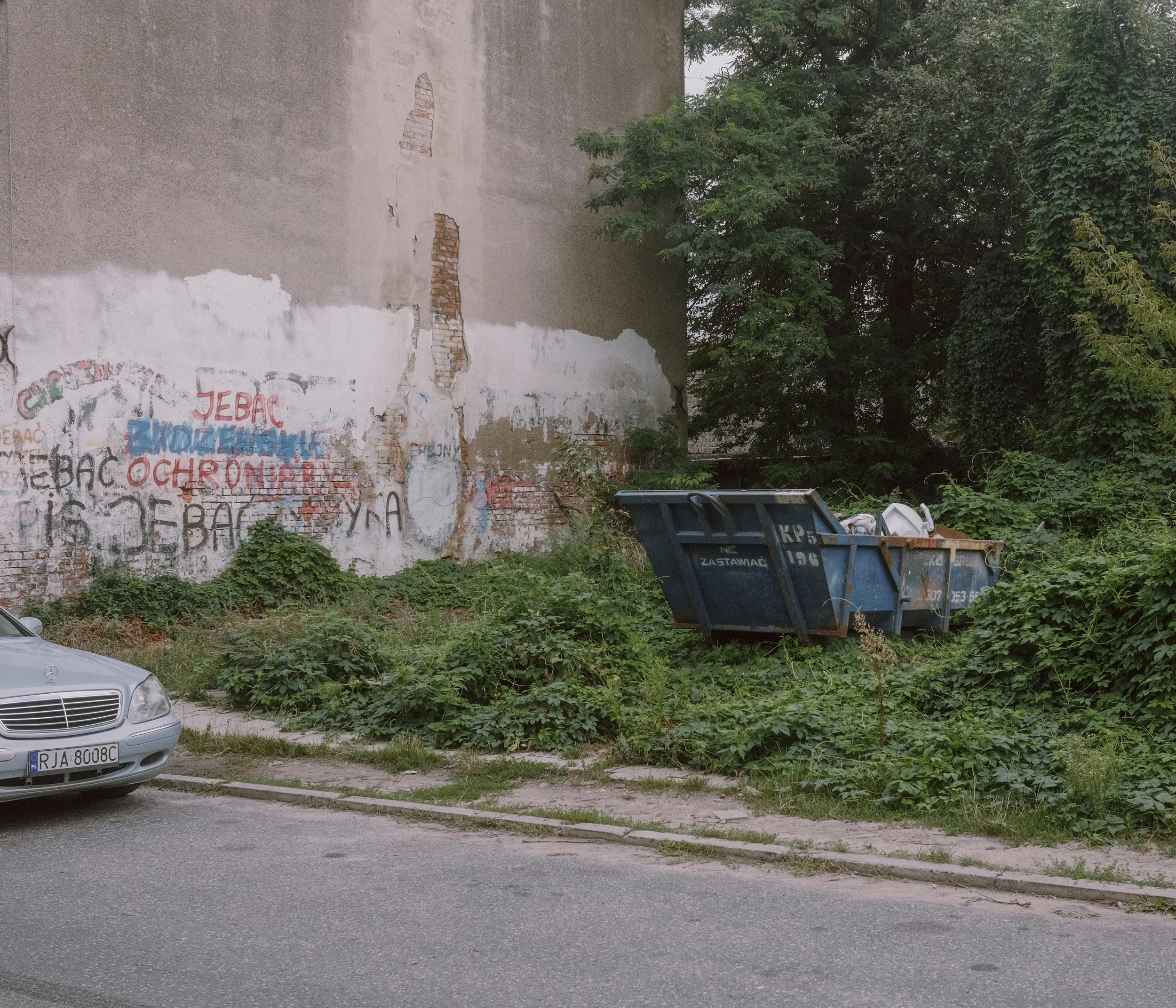 _DSF7685.jpg
