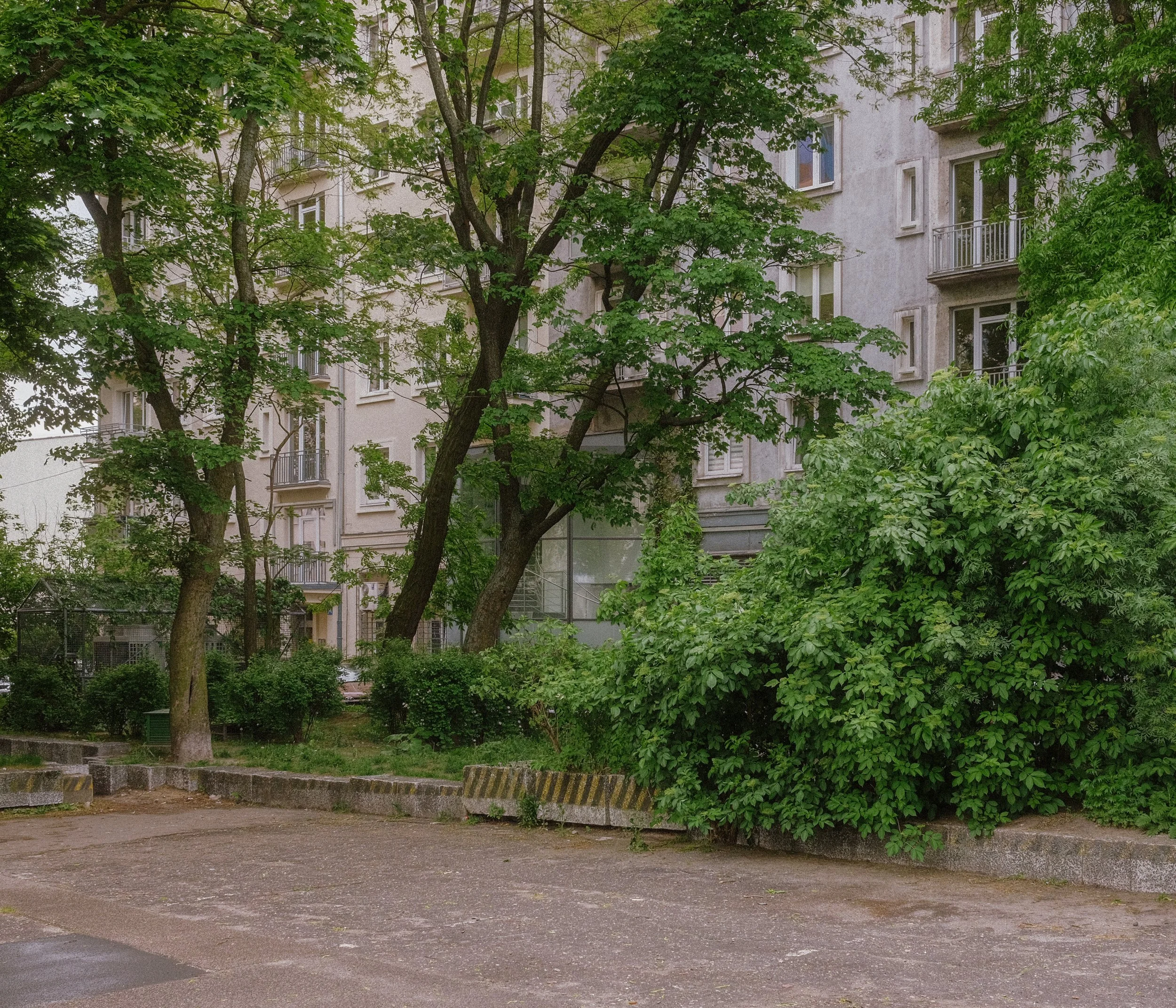 _DSF2097 copie.jpg