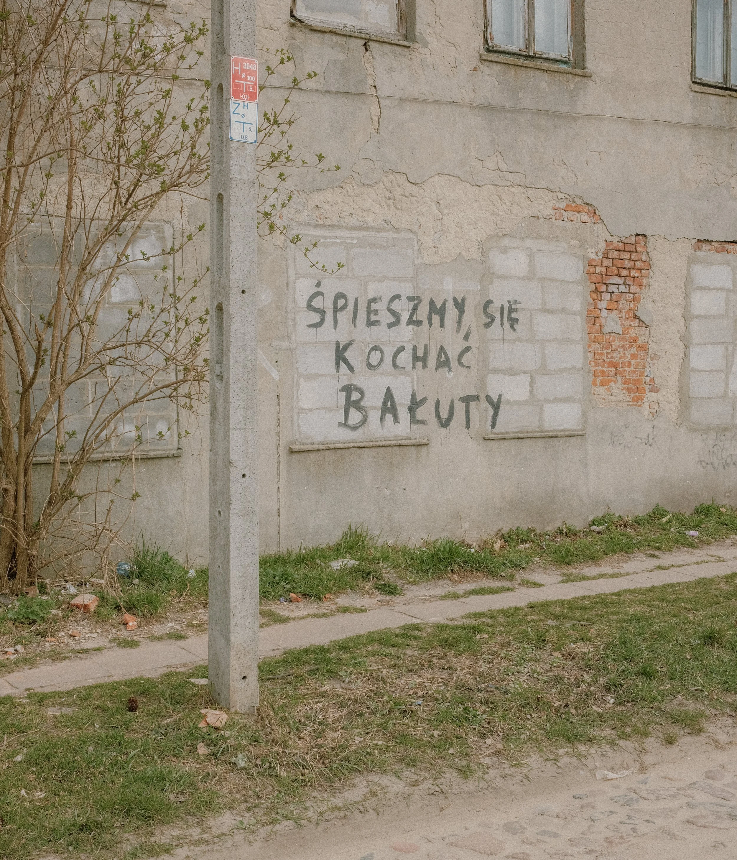 _DSF0725.jpg