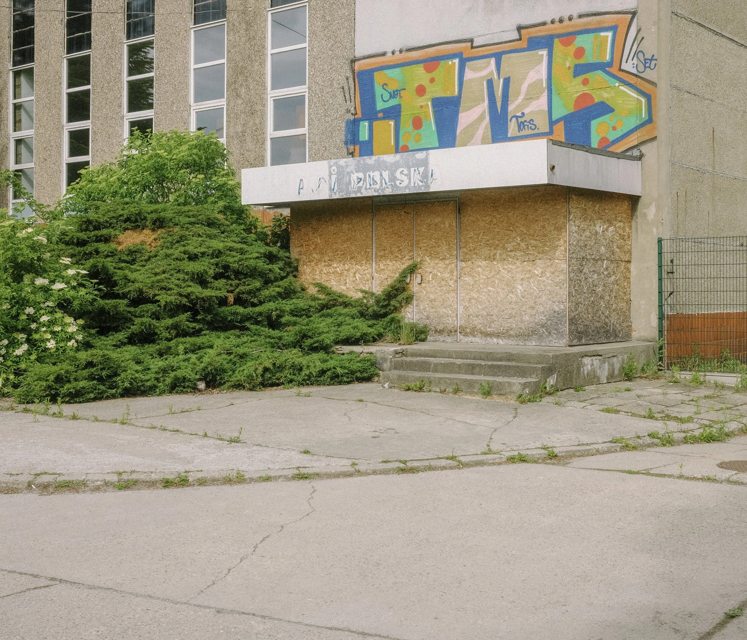 _DSF2218.jpg