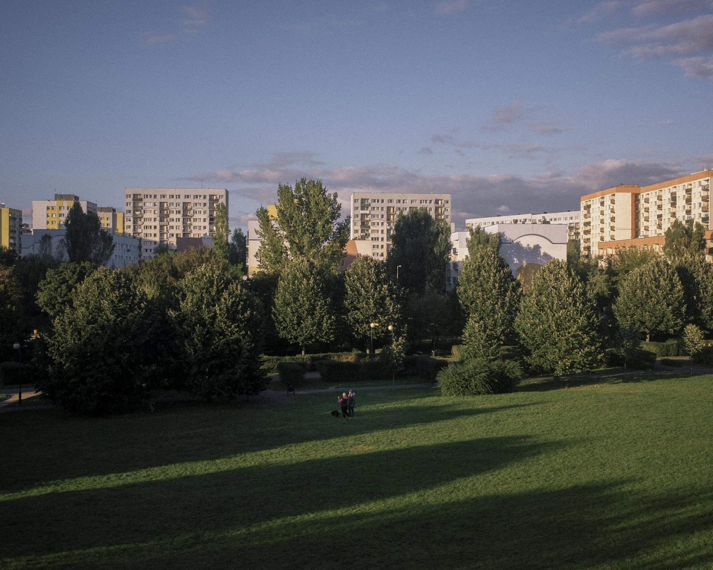 _DSF9949.jpg
