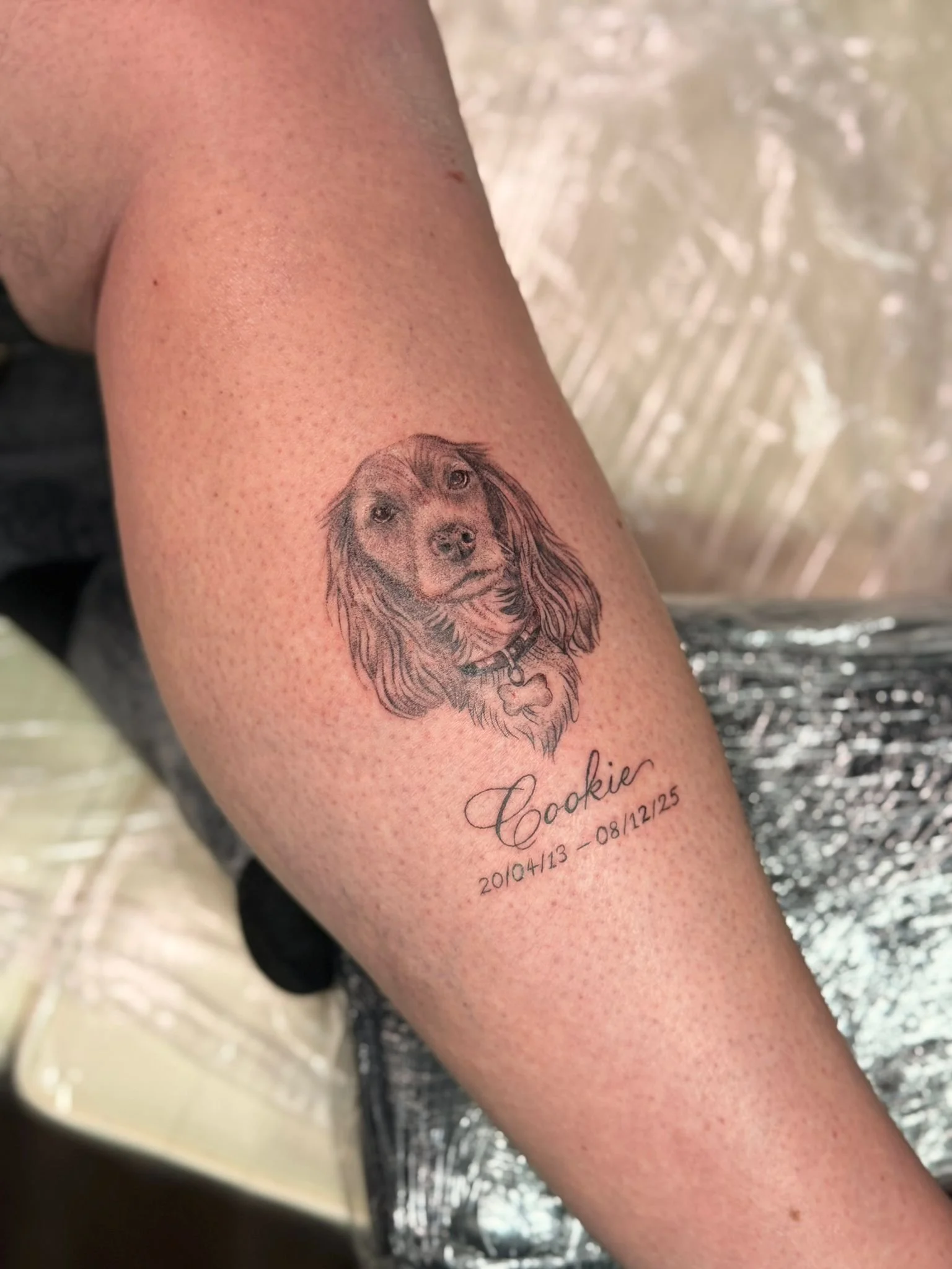 Tattoo of a dog's face with floppy ears on a person's arm, with the name Cookie and dates 2010/4/13 - 08/12/25 written below.