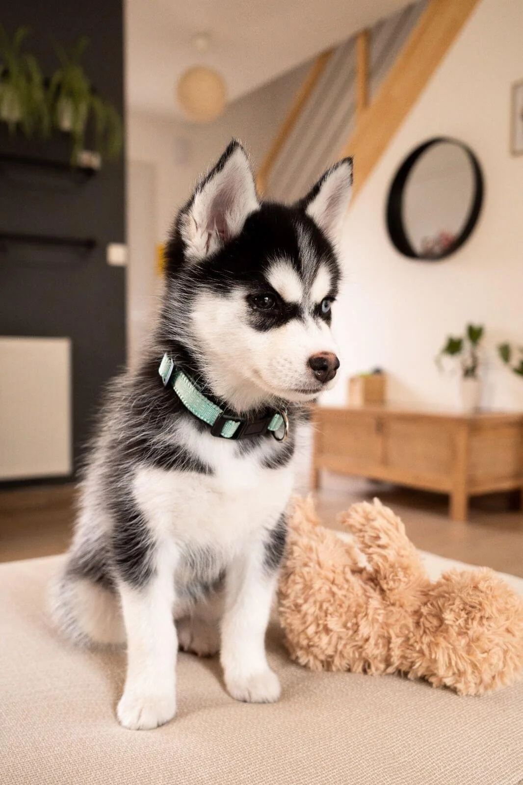 WhatsApp Image 2024-07-31 at 11.58.42.jpeg