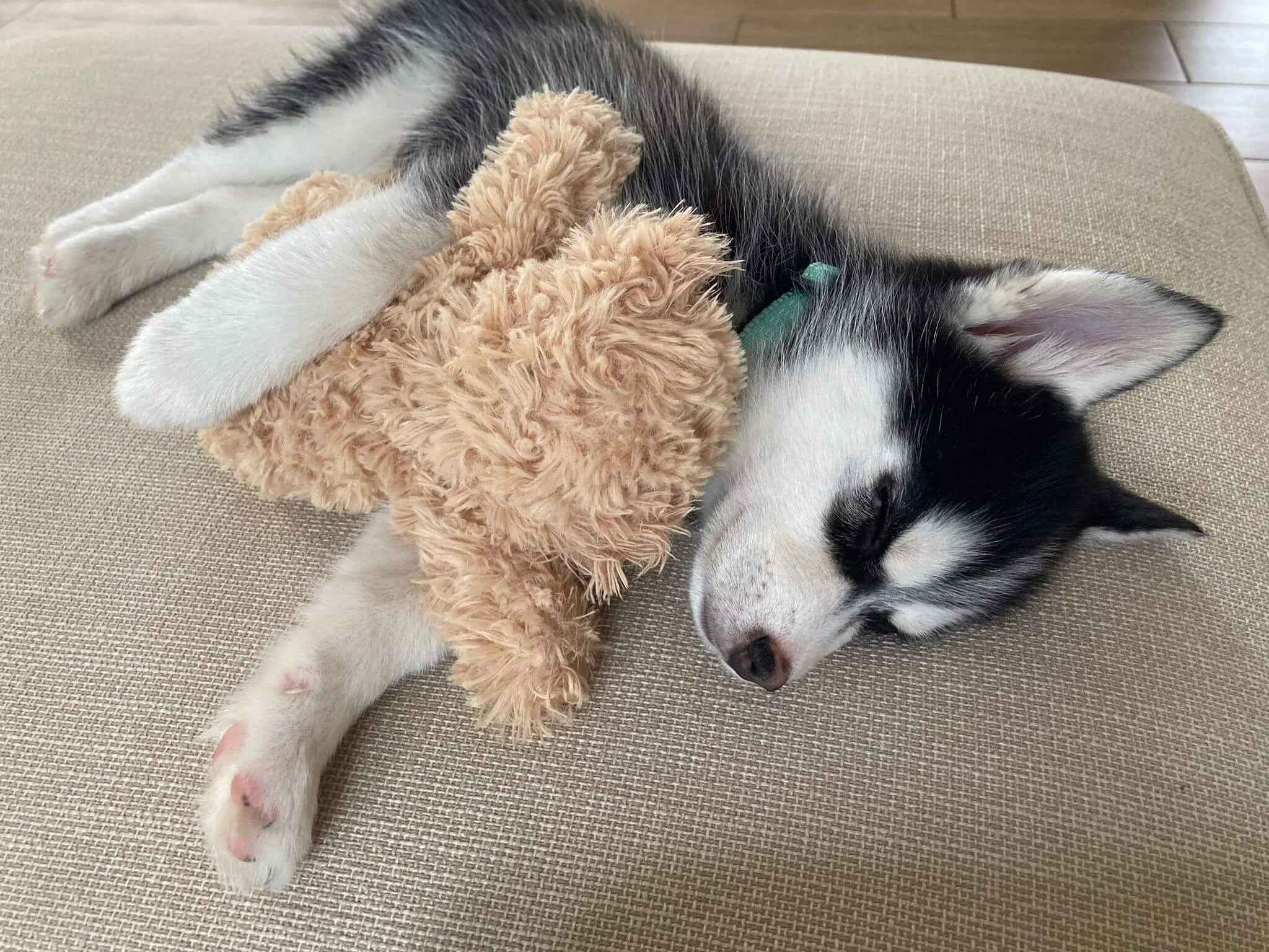 WhatsApp Image 2024-07-31 at 11.58.48.jpeg