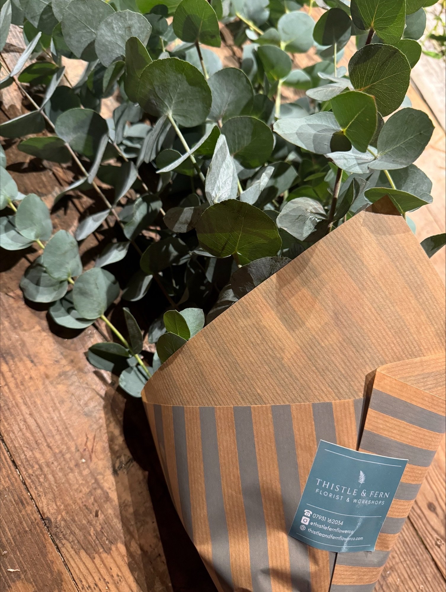 Eucalyptus bunch