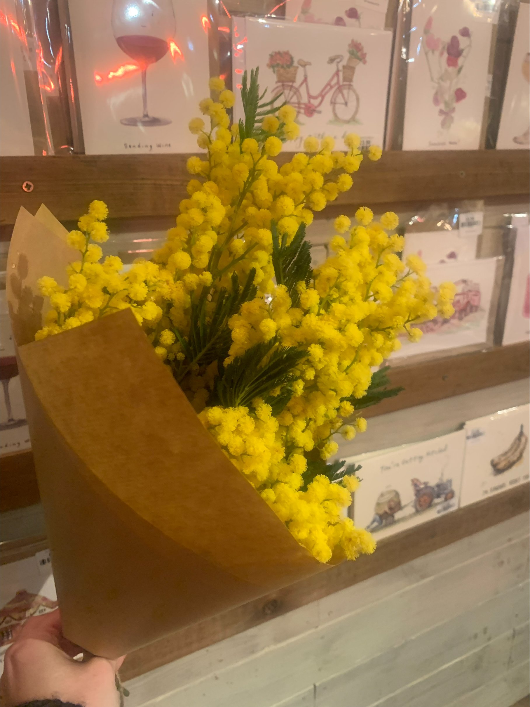 Mimosa bunch