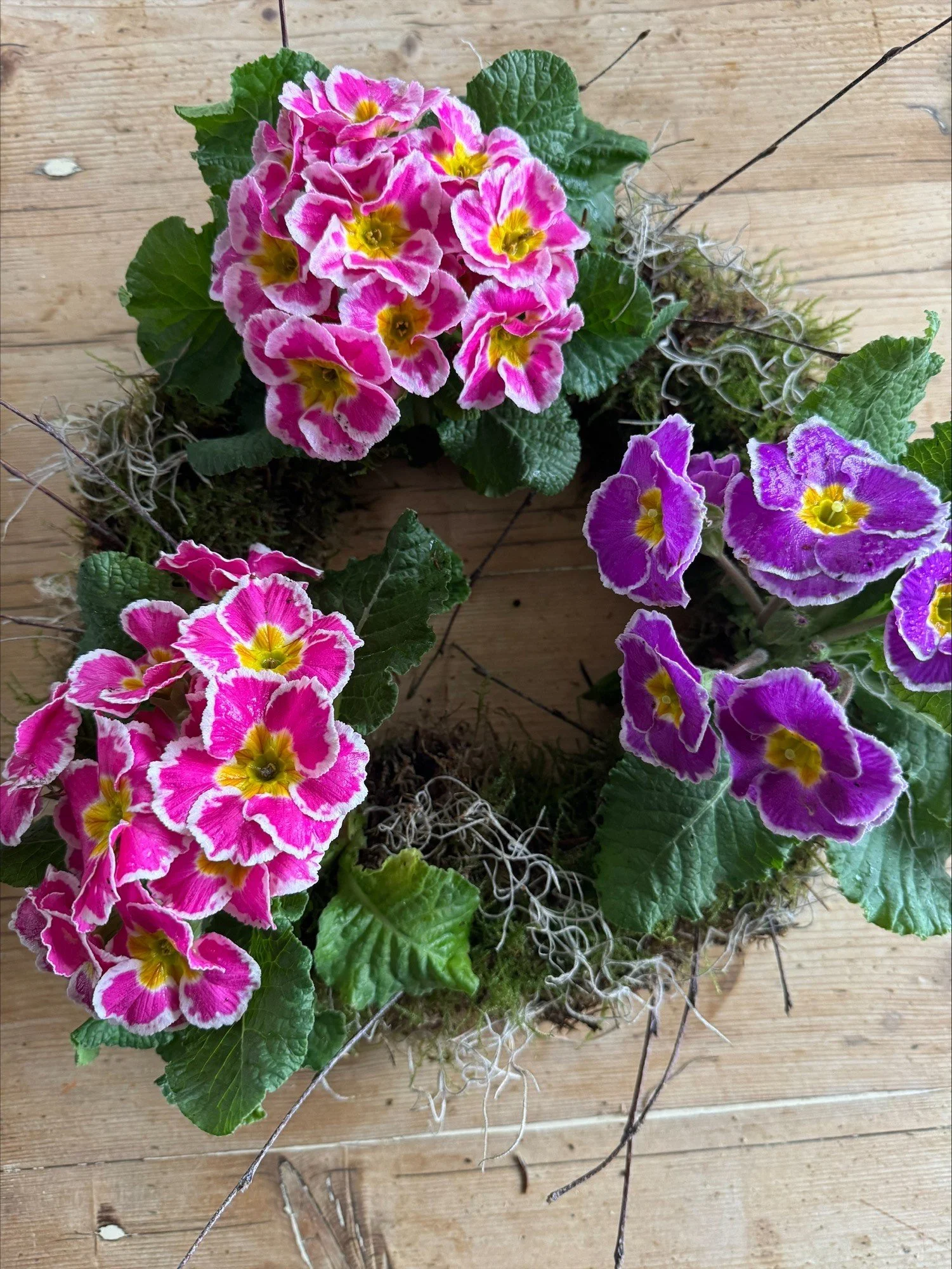 Mothers Day Spring living wreath