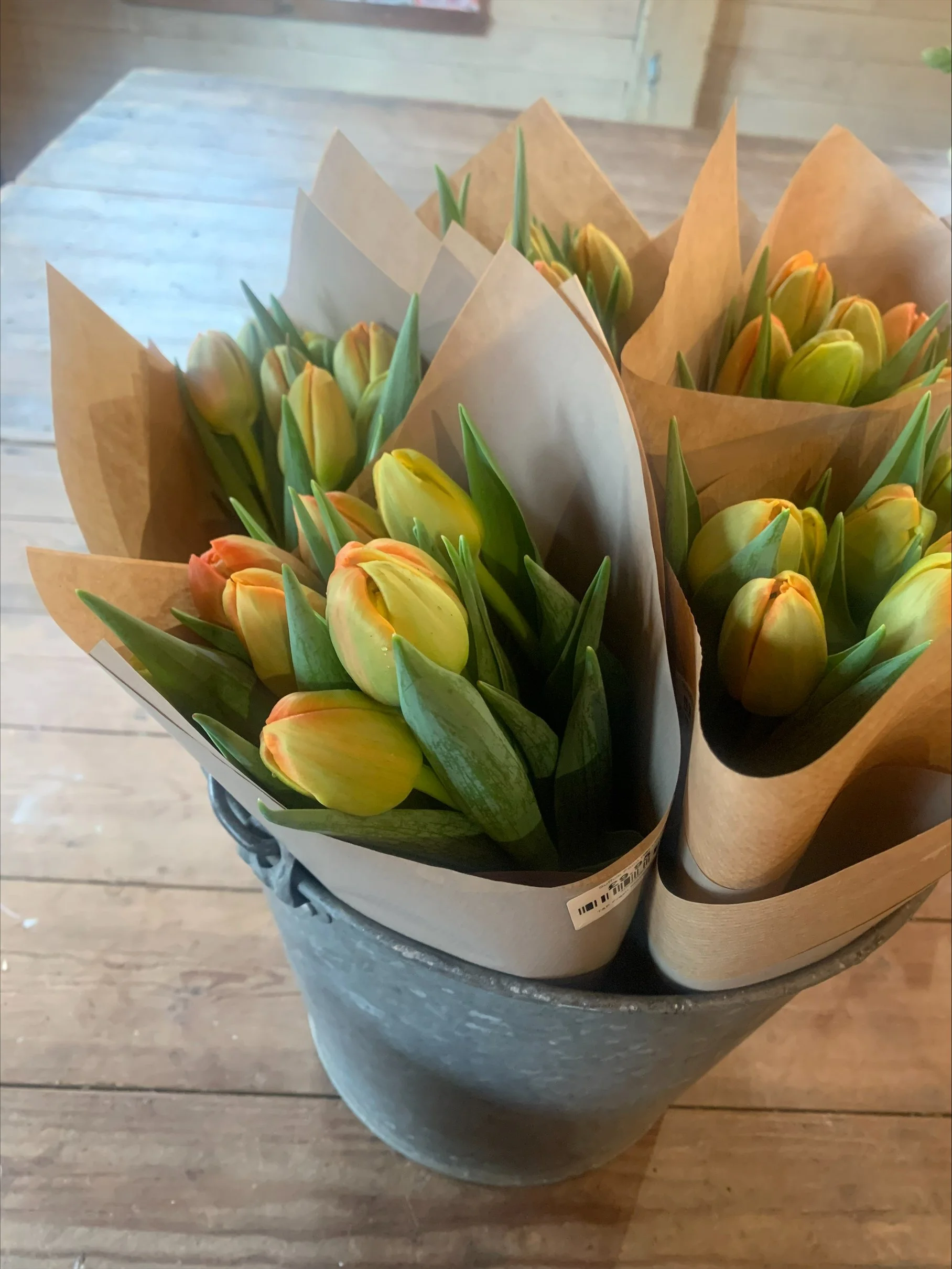 Mothers day tulips.jpeg