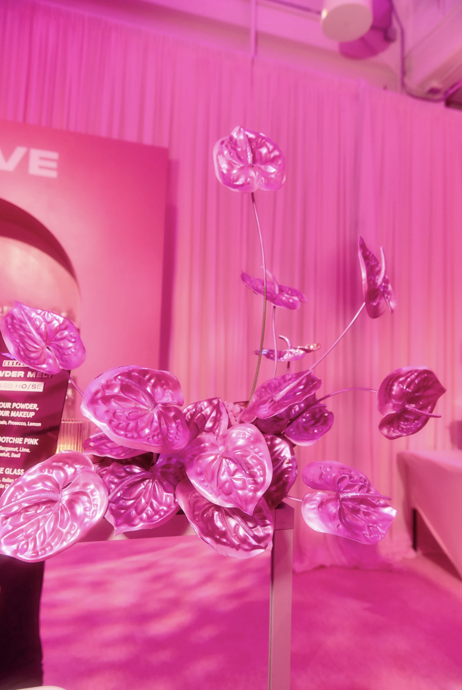 Screen Shot 2026-03-10 at 1.11.27 PM.png