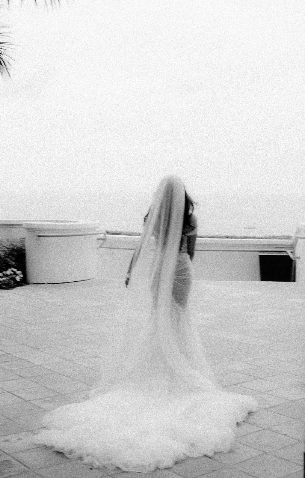 Ritz Carlton Laguna Niguel Wedding 8.png