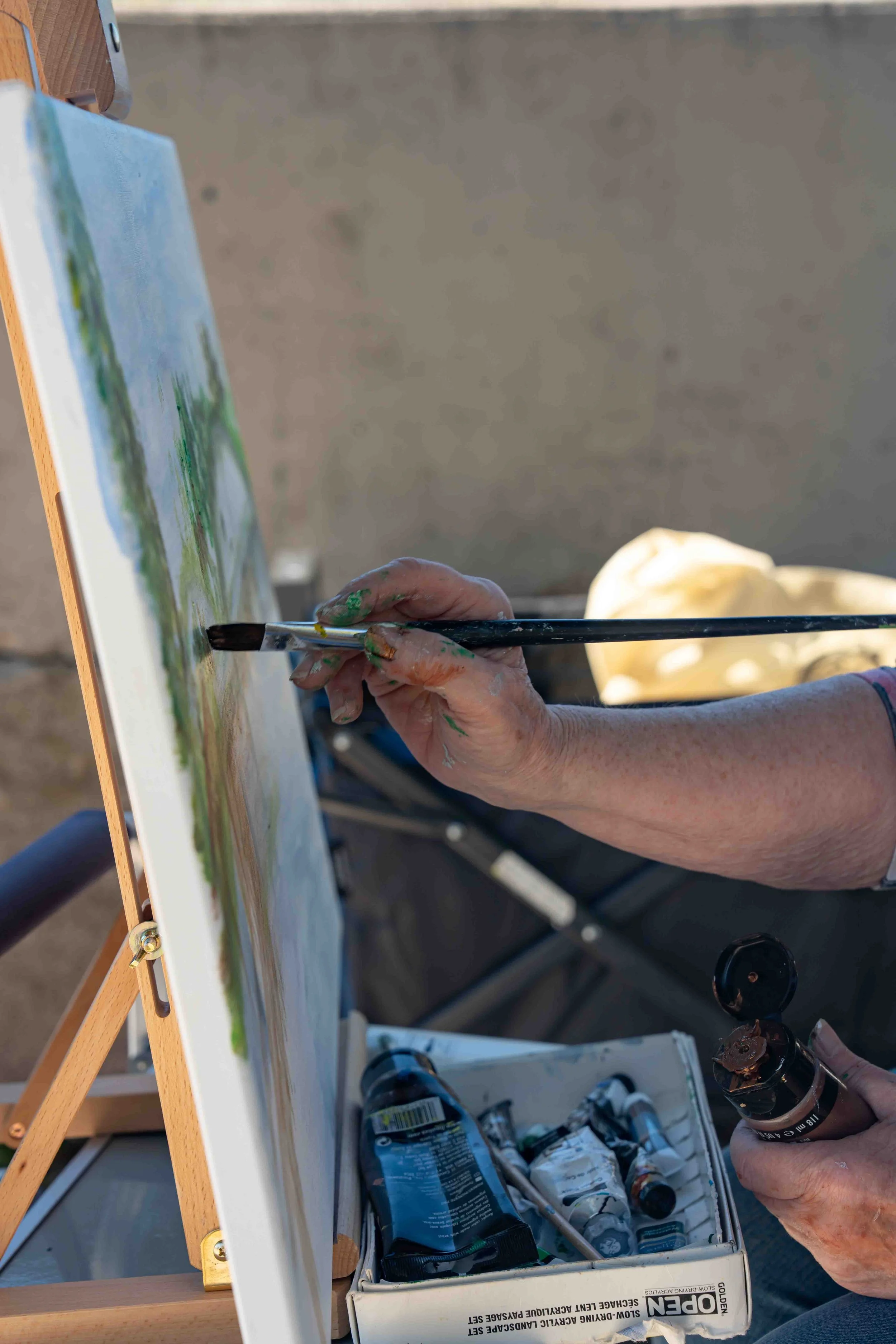 Art in the Open 2025 - DTABIA - EMRowsellPhotography-95.jpg