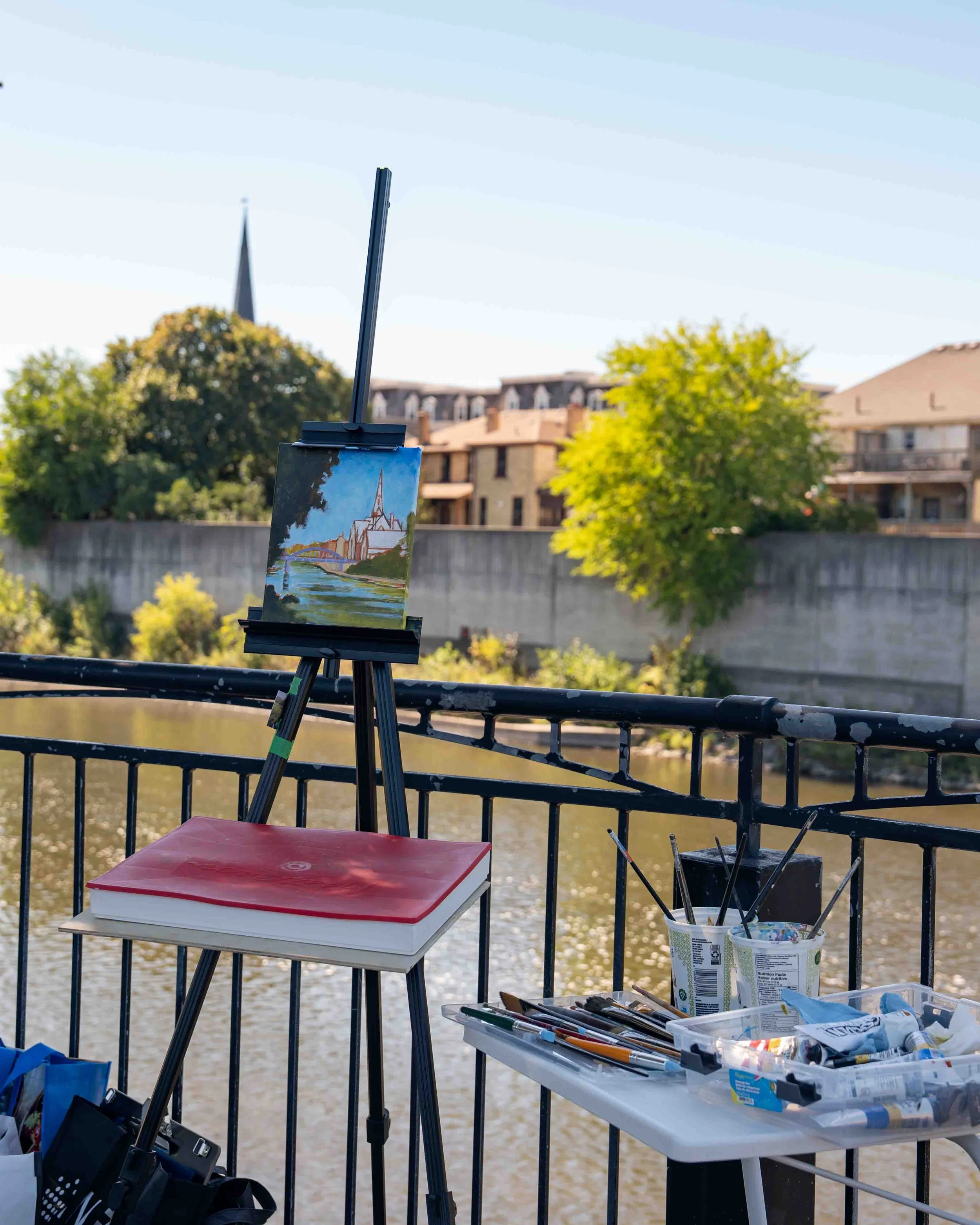 Art in the Open 2025 - DTABIA - EMRowsellPhotography-66.jpg