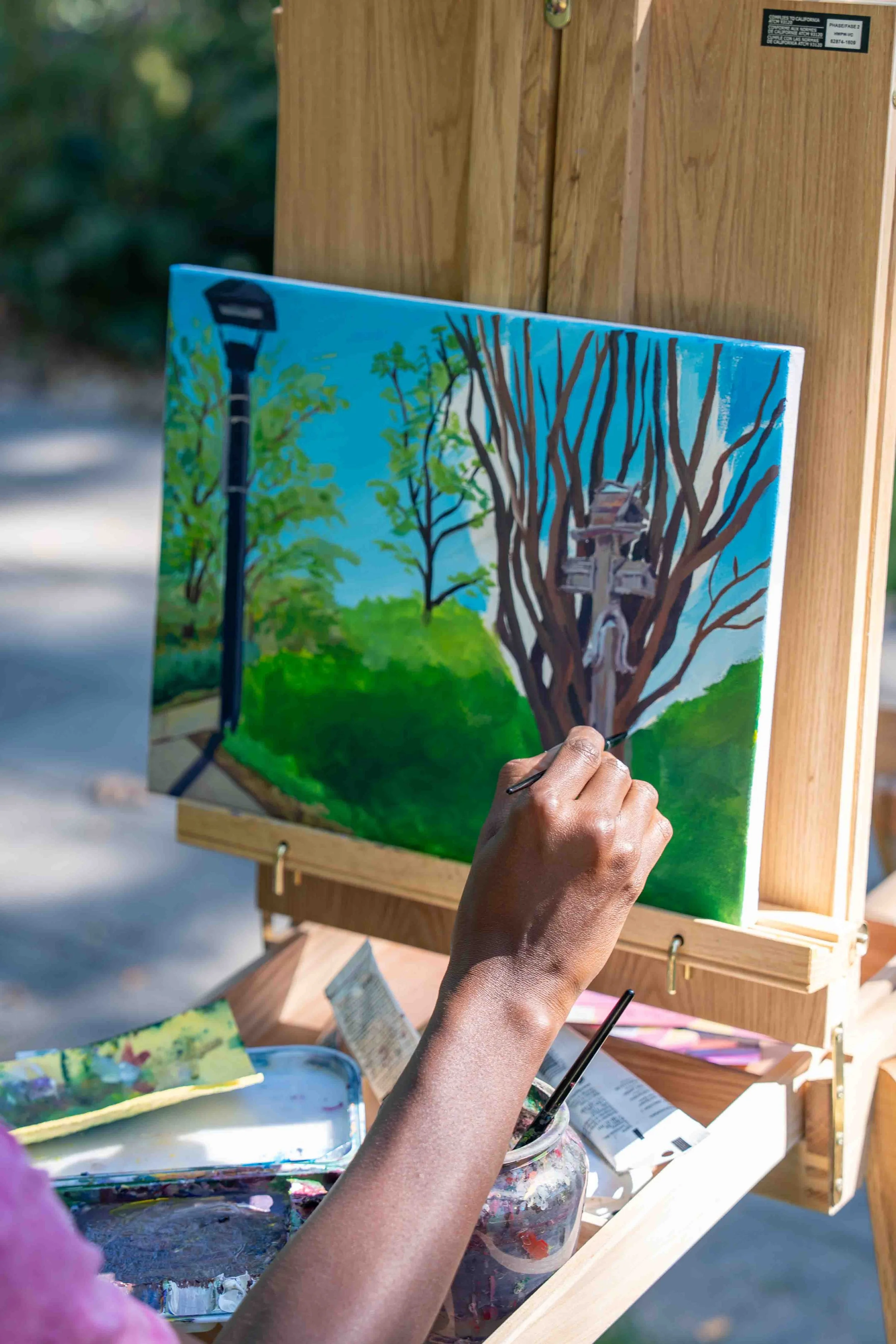 Art in the Open 2025 - DTABIA - EMRowsellPhotography-185.jpg