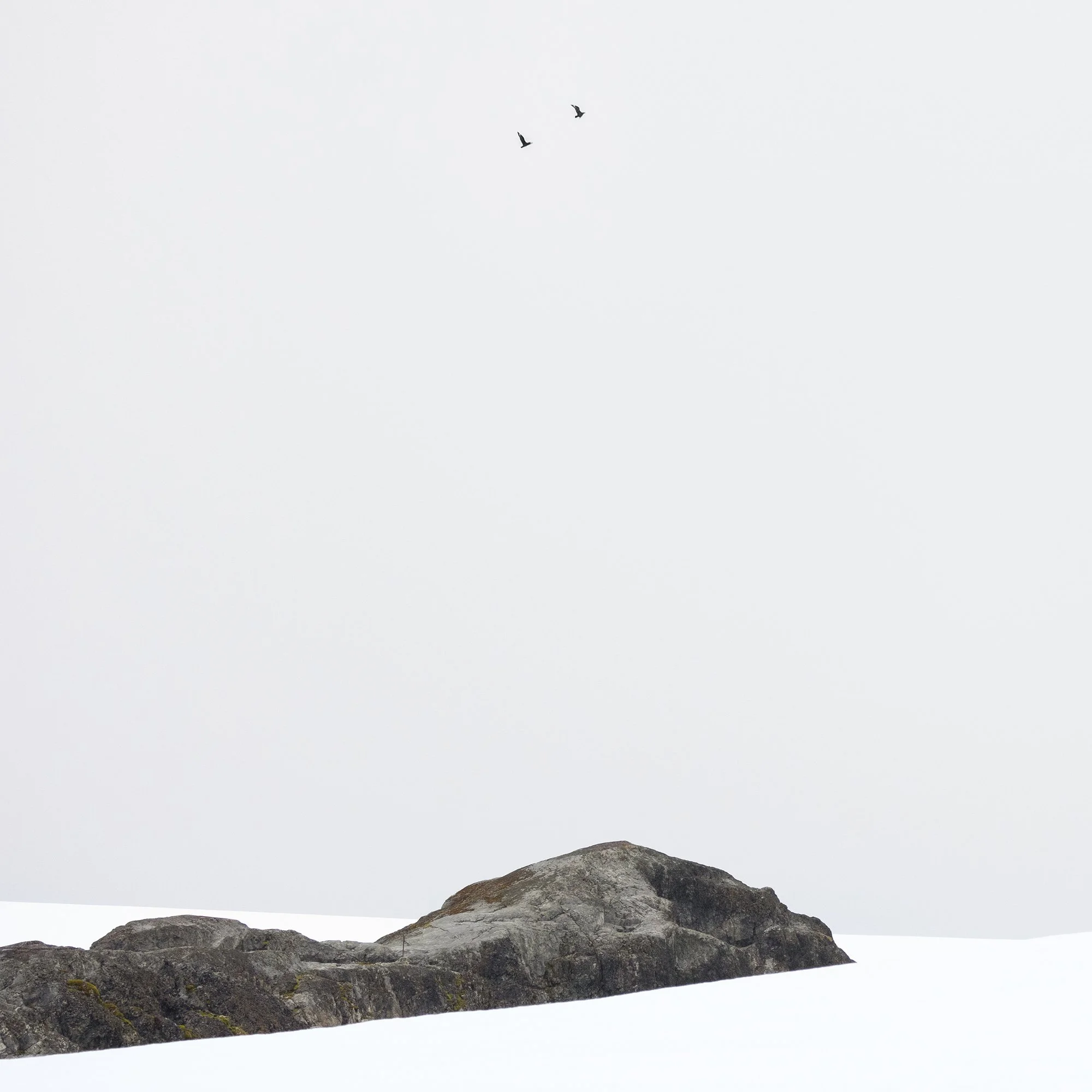 Shapes of Antarctica_0001_Detail.jpg