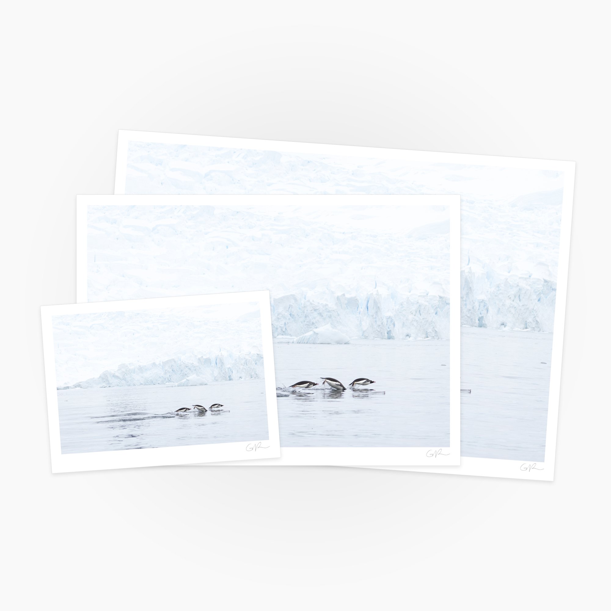 Swim in Threes_0003_Compare.jpg