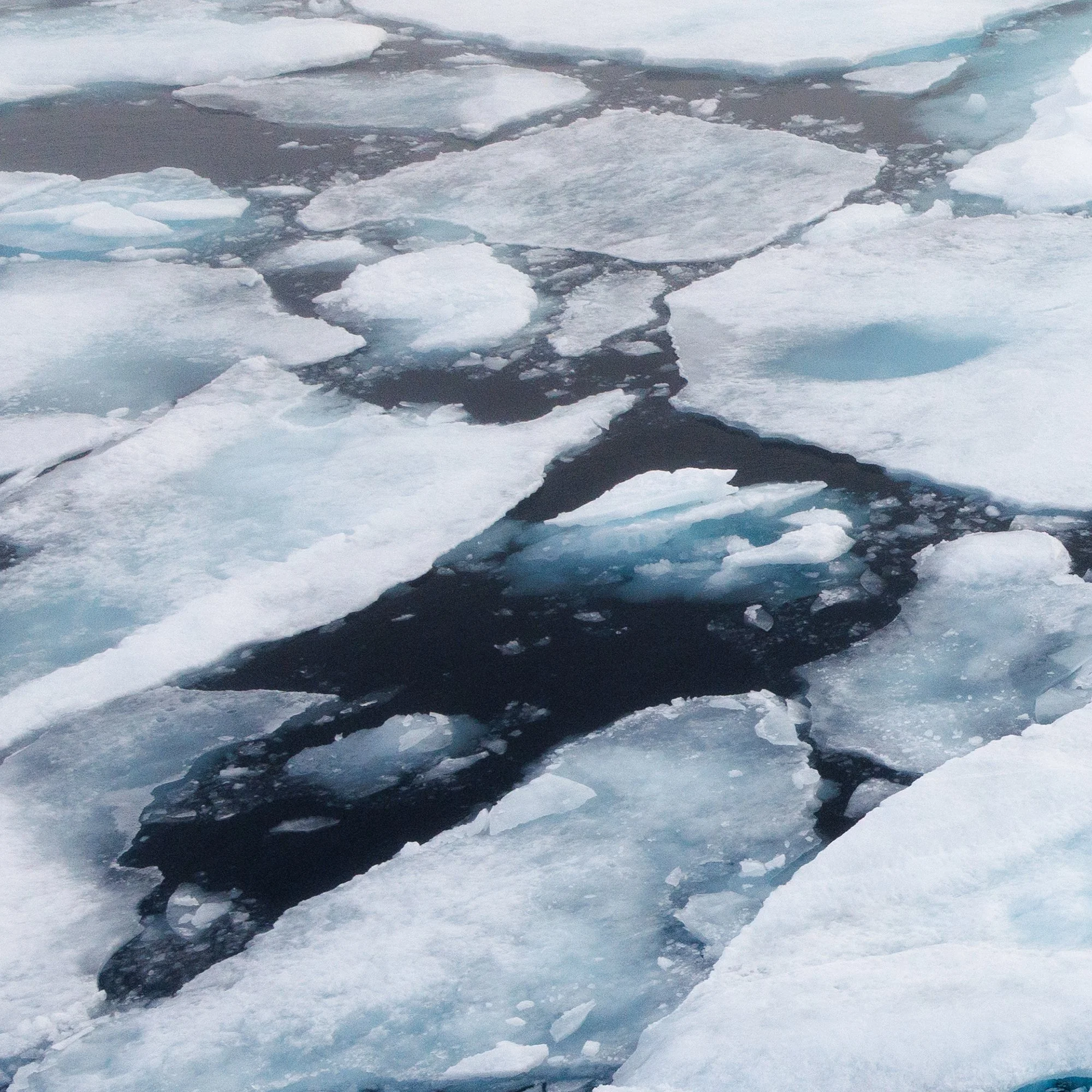 Frozen Sea_0001_Detail.jpg