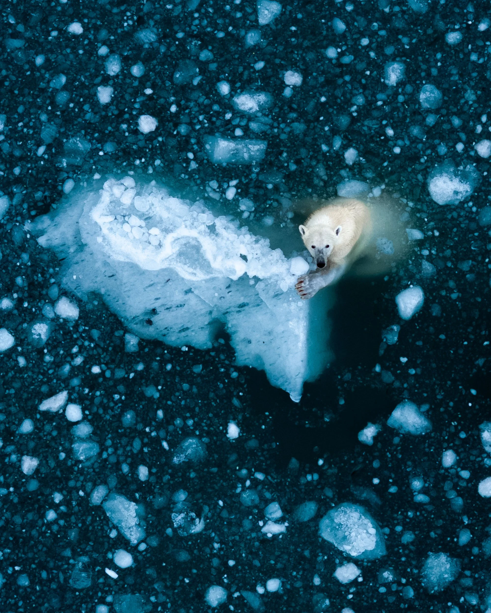 Greenland