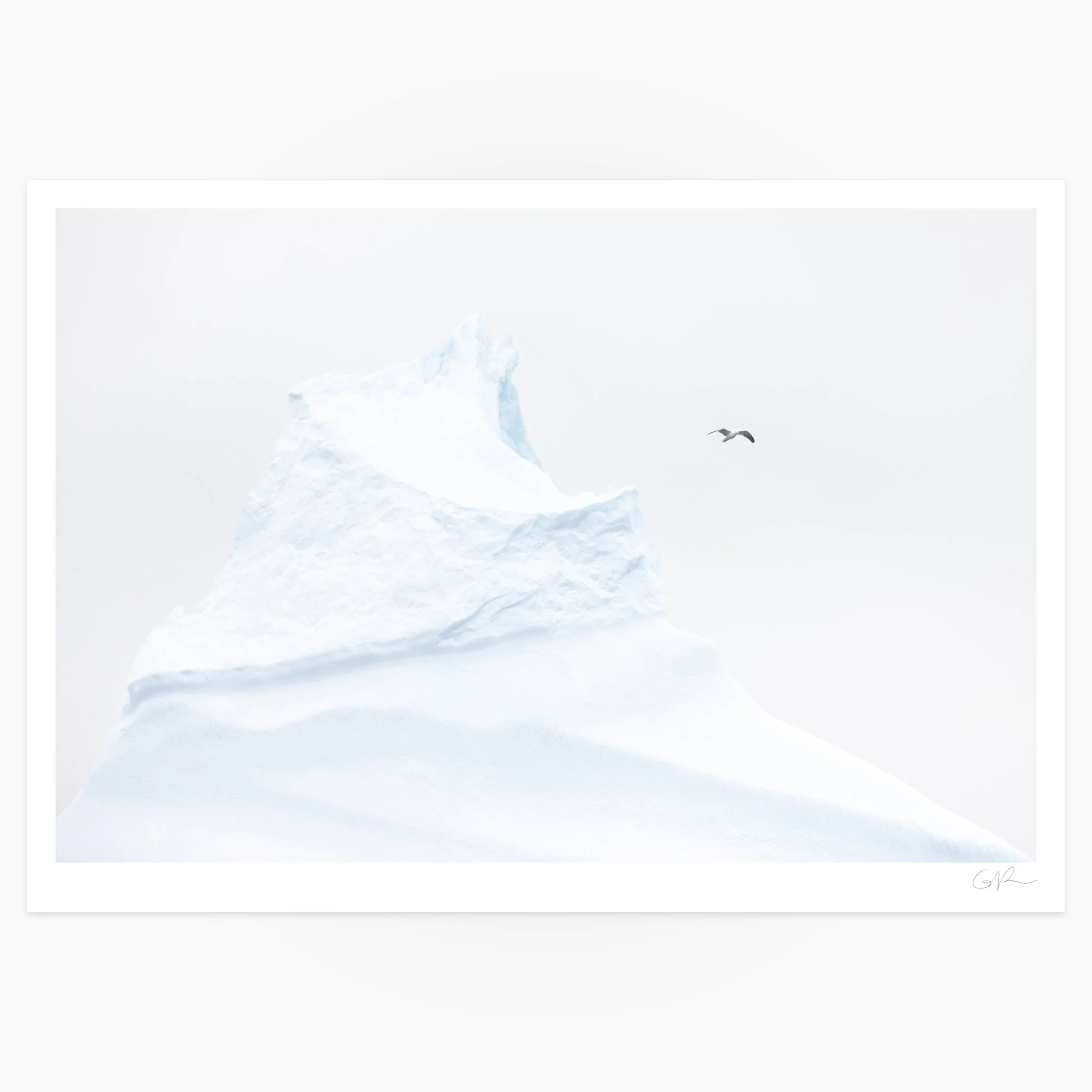 Bird and Berg_0000_Full_13x19.jpg