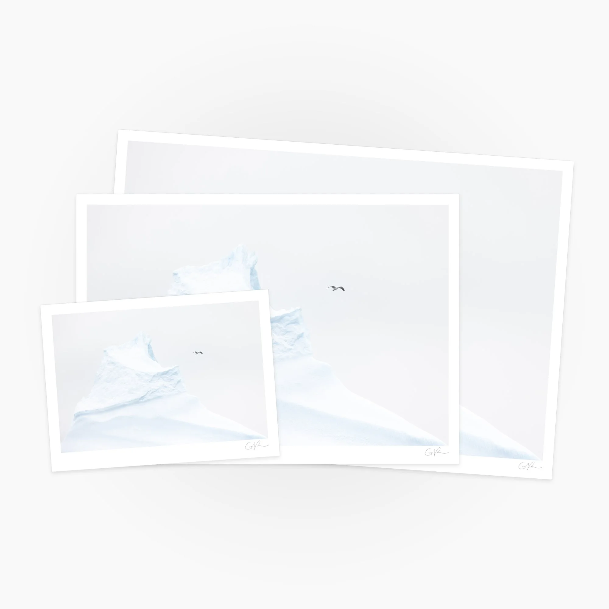 Bird and Berg_0003_Compare.jpg